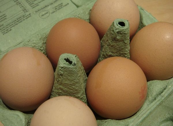 The Secret Codes on Your Egg Carton: Unlocking Freshness and Quality