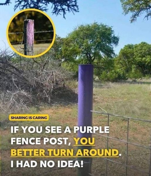 If You See a Painted Purple Fence, This is What It Means