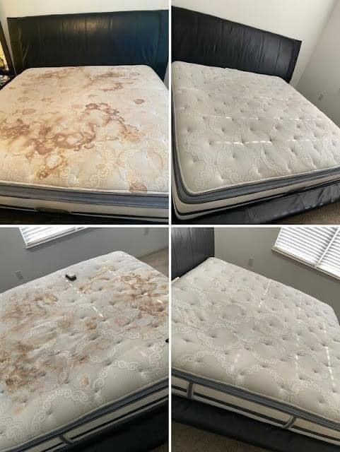 Revive and Thrive: The Ultimate Guide to Mattress Stain and Odor Removal