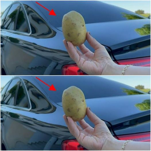 The Hidden Talent of Potatoes: A Lifesaver for Foggy Windshields